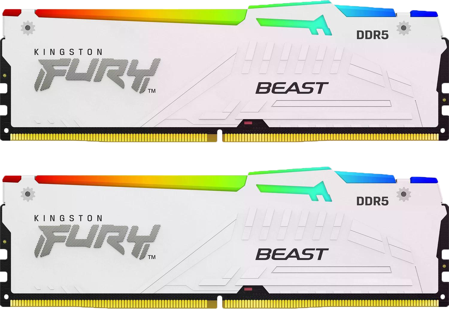 Kingston FURY Beast RGB weiß UDIMM 64GB Kit, DDR5-6000, CL30-36-36